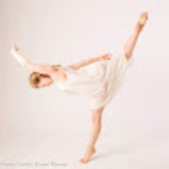 rosebush16
